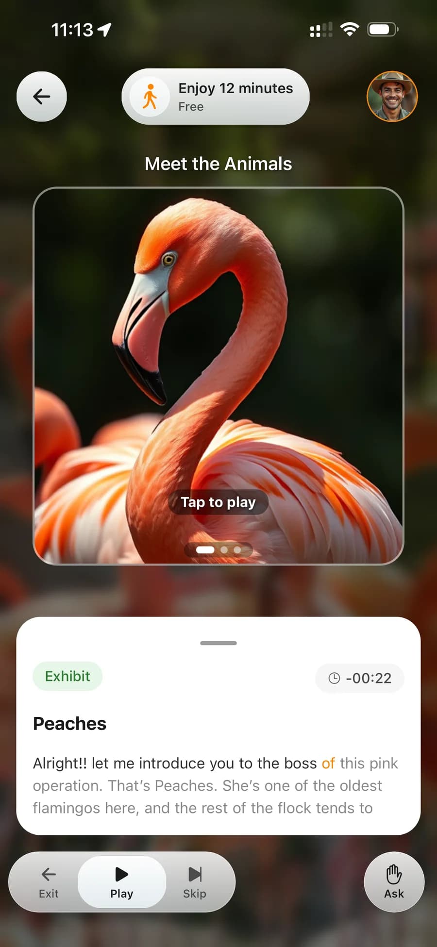 Roam exhibit screen featuring a flamingo audio story